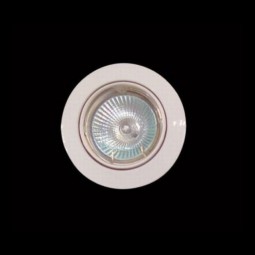 220v Downlighter tilt
